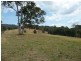 Killabakh NSW 2429