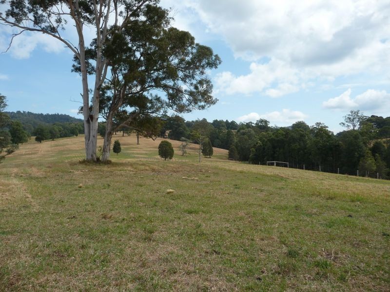 Killabakh NSW 2429