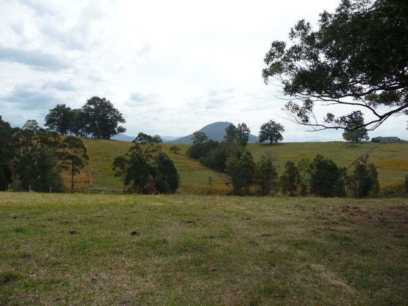 Killabakh NSW 2429