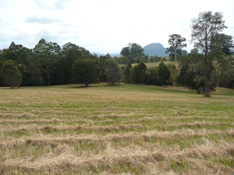 Killabakh NSW 2429