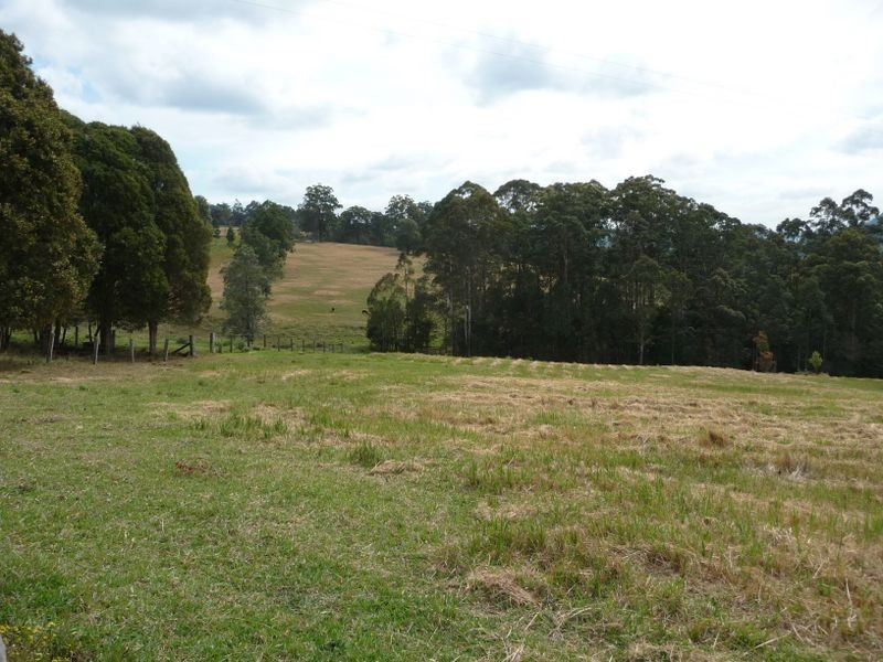Killabakh NSW 2429