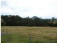 Killabakh NSW 2429