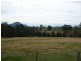 Killabakh NSW 2429