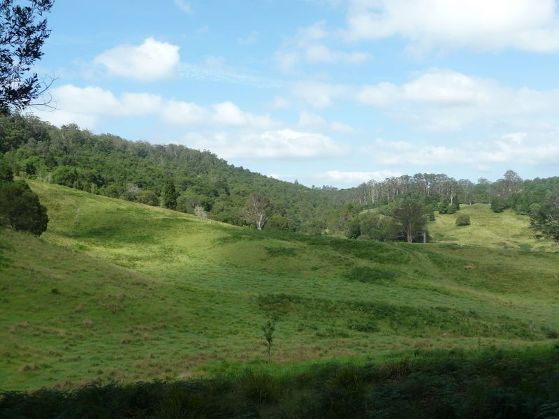 Elands NSW 2429