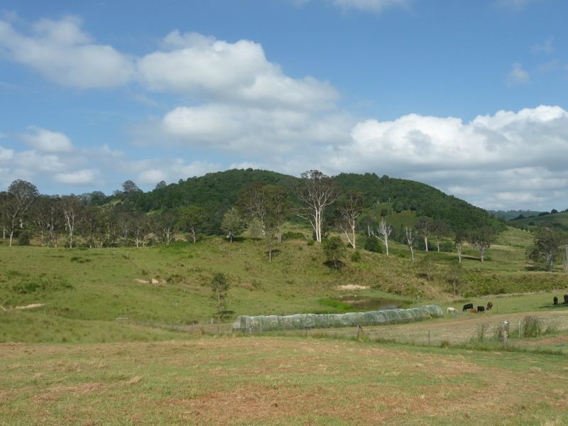 Elands NSW 2429