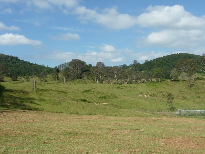 Elands NSW 2429