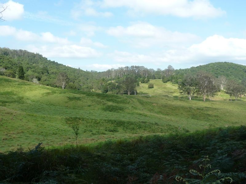 Elands NSW 2429