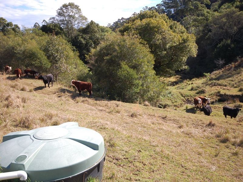 Mooral Creek NSW 2429