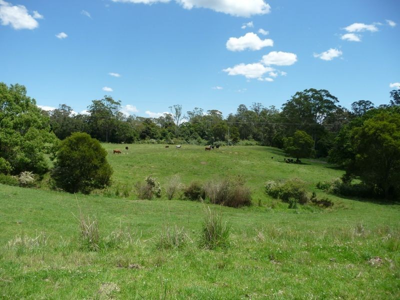 Lansdowne NSW 2430