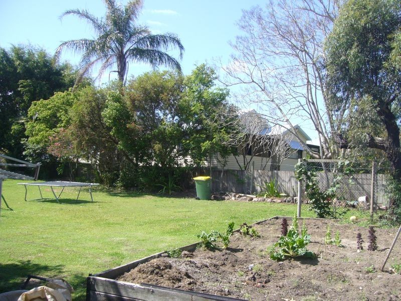 Wingham NSW 2429