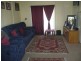 Wingham NSW 2429