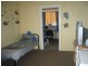 Wingham NSW 2429