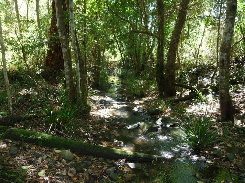 Kundibakh NSW 2429