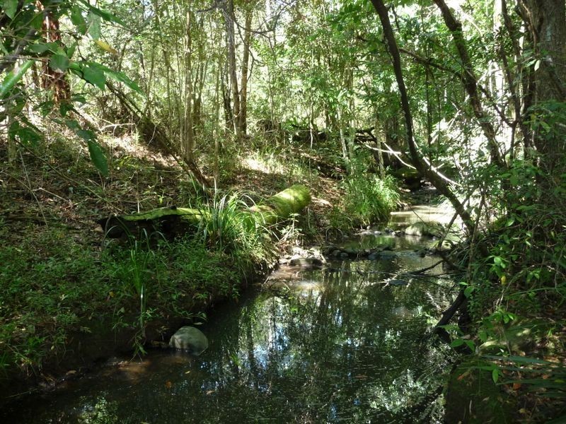 Kundibakh NSW 2429