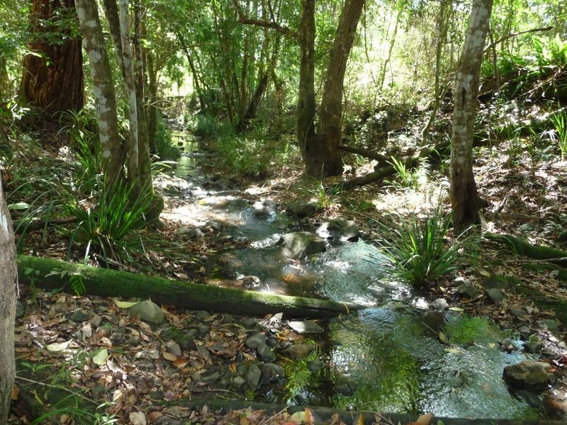 Kundibakh NSW 2429