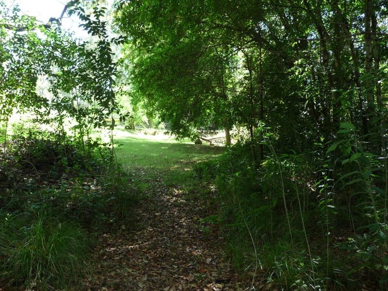 Kundibakh NSW 2429