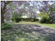 Wingham NSW 2429
