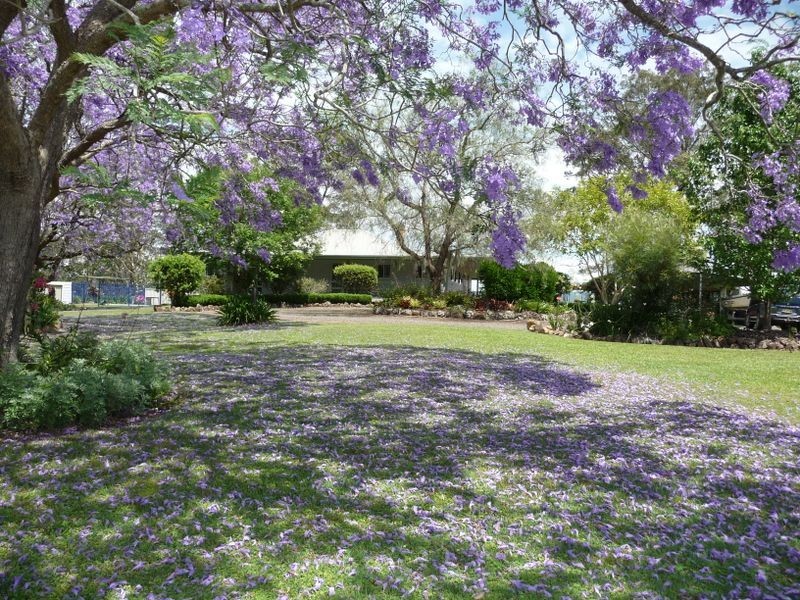 Wingham NSW 2429