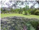 Wingham NSW 2429