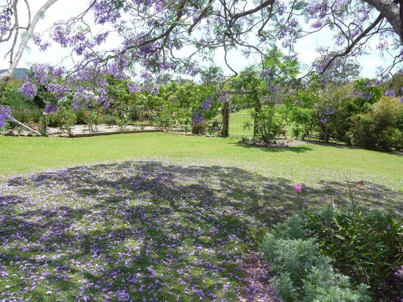 Wingham NSW 2429