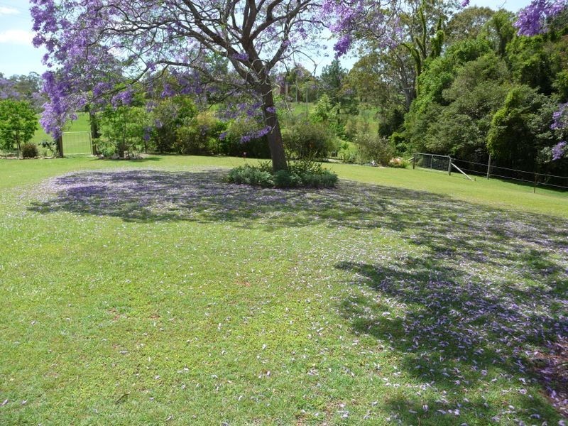Wingham NSW 2429
