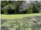 Wingham NSW 2429