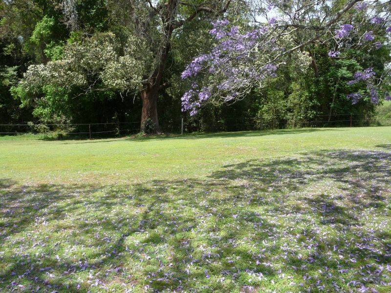 Wingham NSW 2429