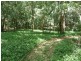 Wingham NSW 2429