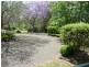 Wingham NSW 2429