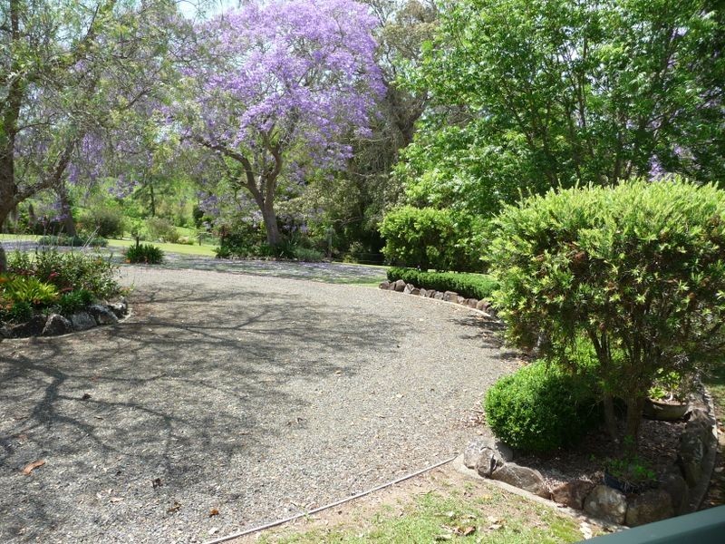 Wingham NSW 2429
