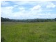Wingham NSW 2429