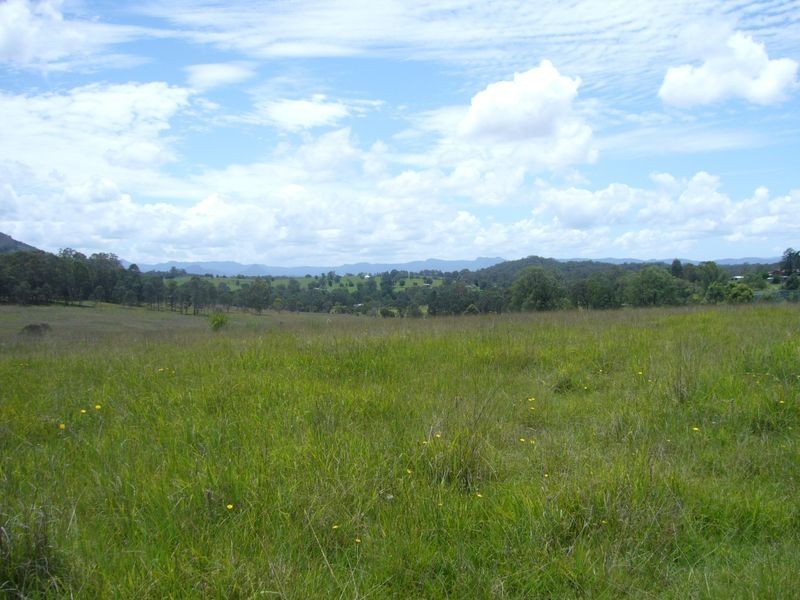 Wingham NSW 2429