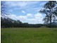 Wingham NSW 2429