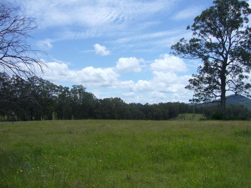 Wingham NSW 2429