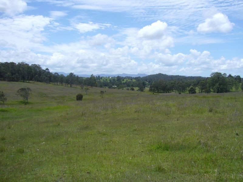 Wingham NSW 2429