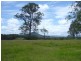 Wingham NSW 2429