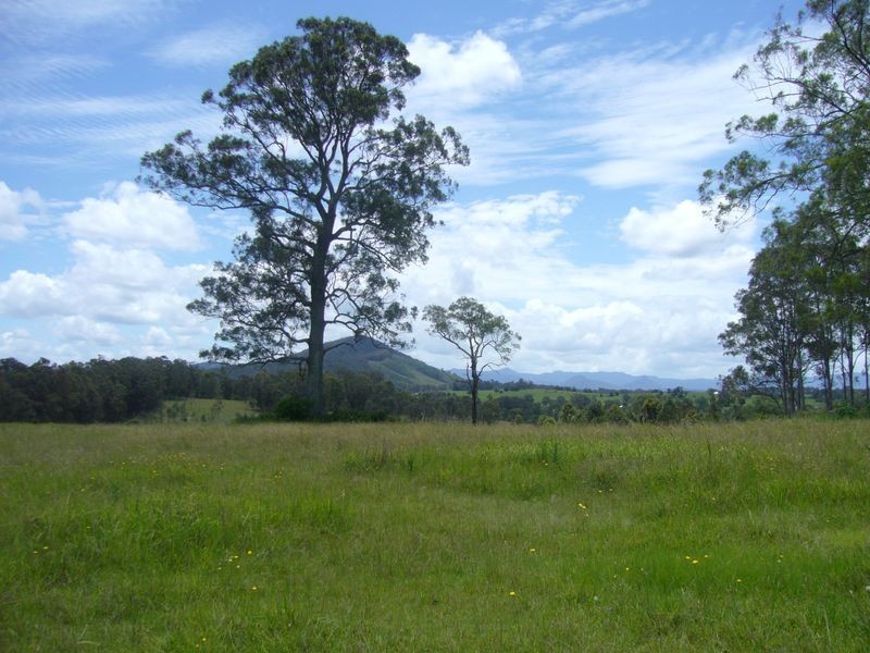 Wingham NSW 2429