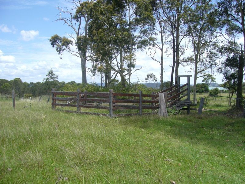 Wingham NSW 2429