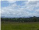 Wingham NSW 2429