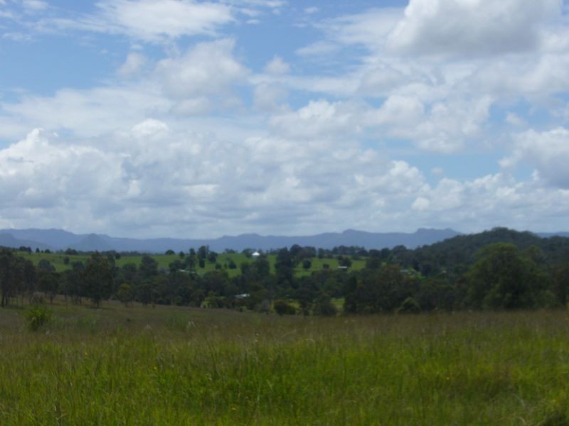 Wingham NSW 2429