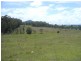 Wingham NSW 2429