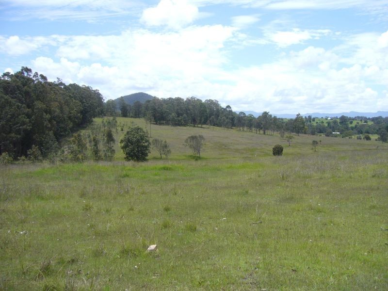 Wingham NSW 2429