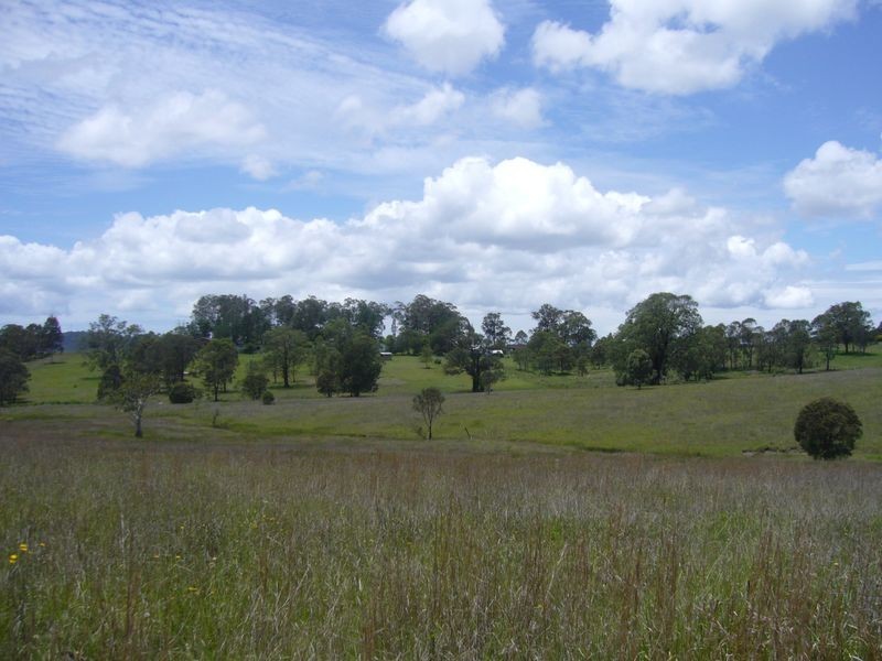 Wingham NSW 2429