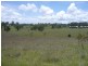 Wingham NSW 2429