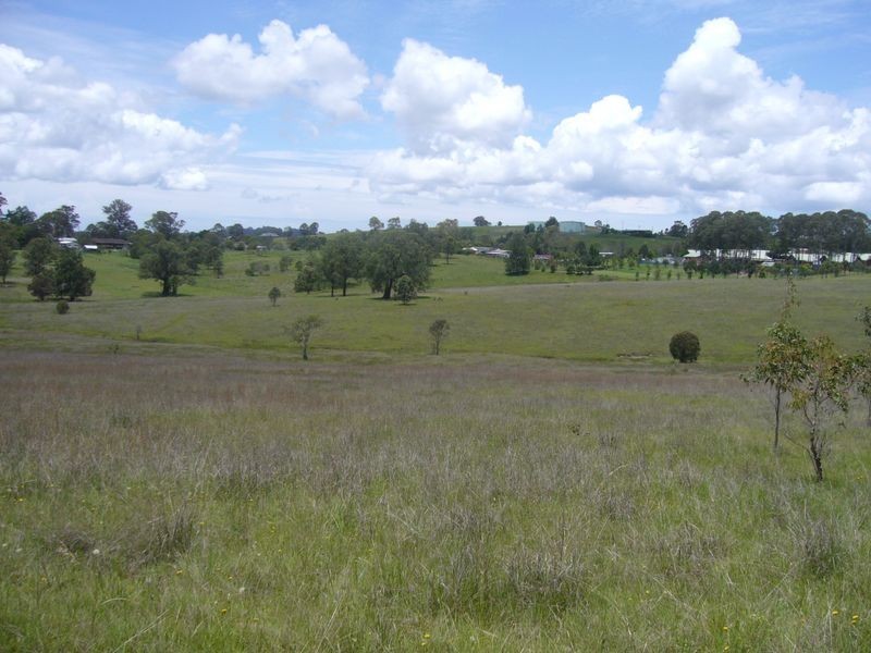 Wingham NSW 2429
