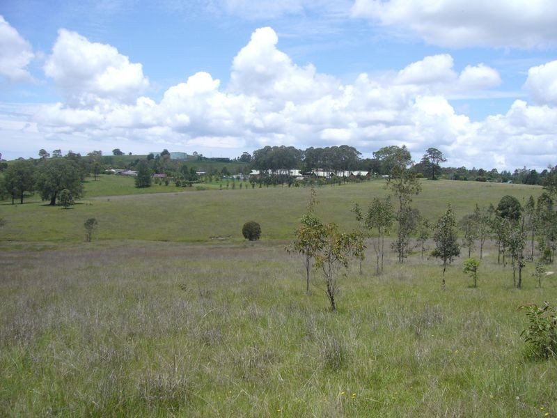 Wingham NSW 2429