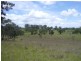 Wingham NSW 2429