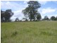 Wingham NSW 2429