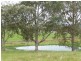 Killawarra NSW 2429