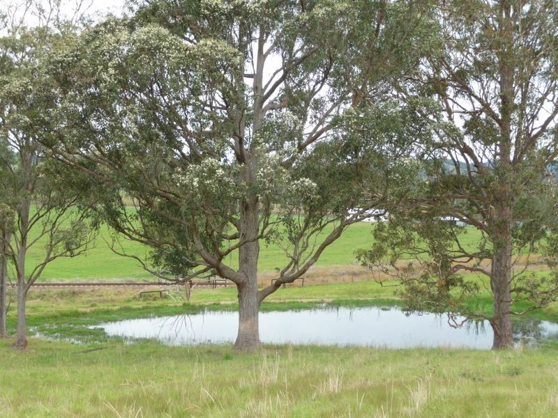 Killawarra NSW 2429